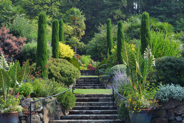 What’s in Bloom Now? Garden Updates August 7 – 17