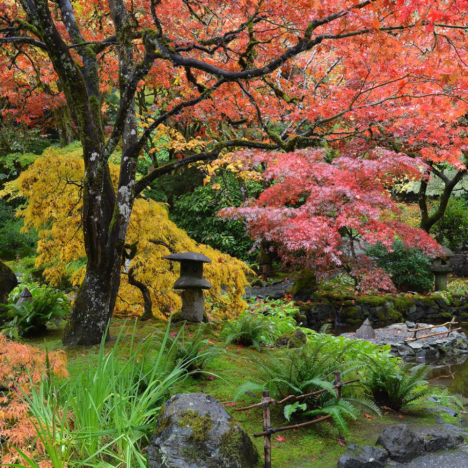 The Butchart Gardens – Victoria, Canada – Japanese Garden