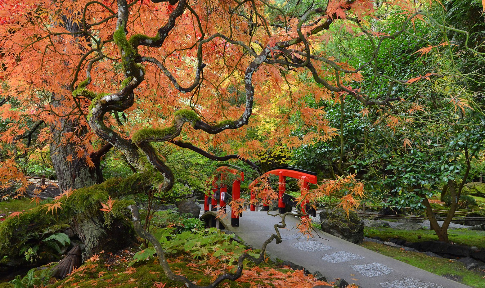 The Butchart Gardens – Victoria, Canada – Japanese Garden