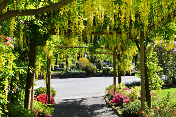 Butchart Gardens Discontinues Sale of Single-Use Plastic Water Bottles