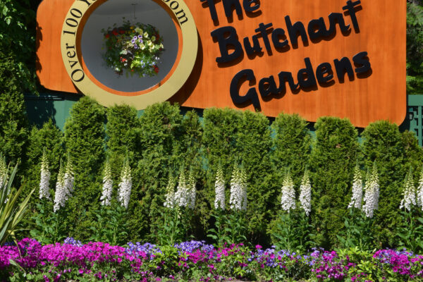 2 Hour Visit Itinerary