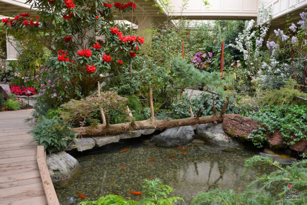 Garden Notebook – Winter 2018