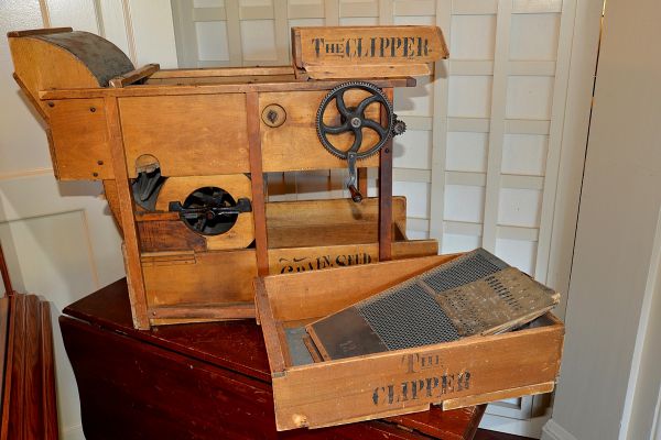 Evolution of the Seed & Gift Store