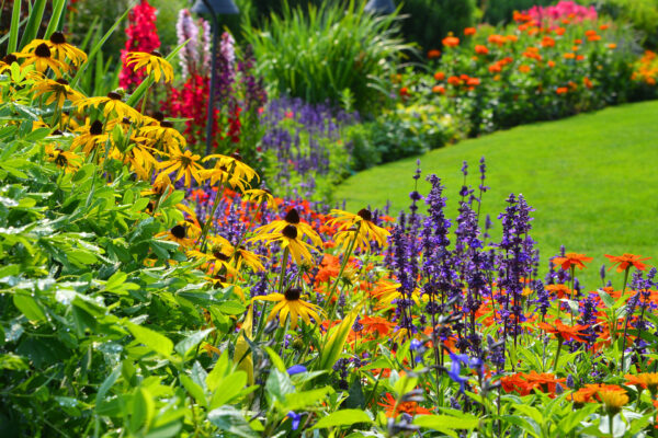 4+ Hours Visit Itinerary