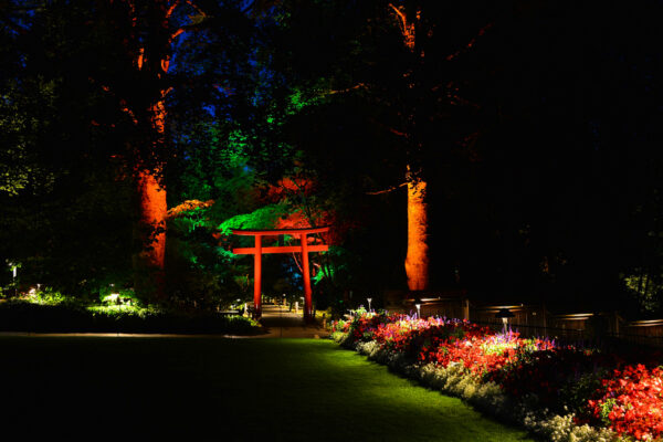 Insider Knowledge about Night Illuminations