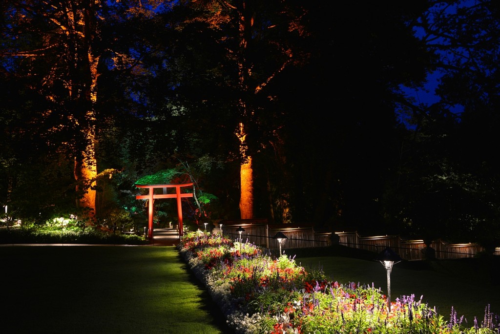 night tour garden
