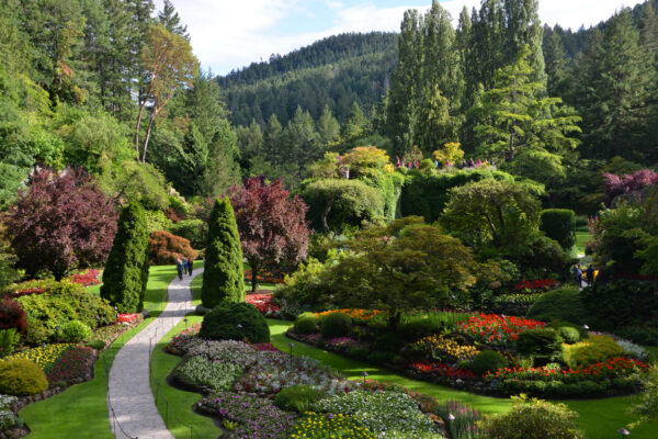 What’s in Bloom Now? Garden Updates July 7 – 14