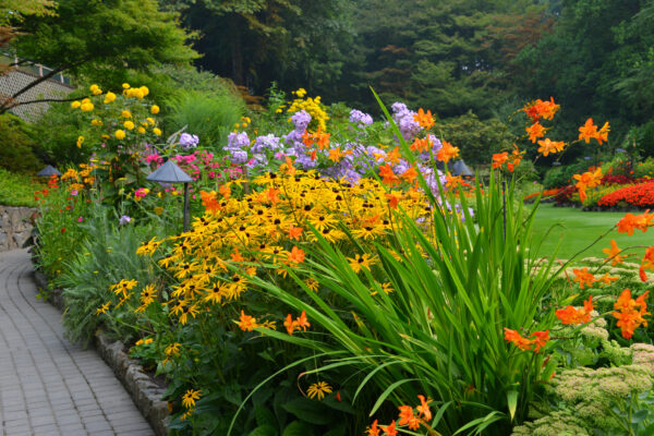 What’s in Bloom Now? Garden Updates August 25 – 31