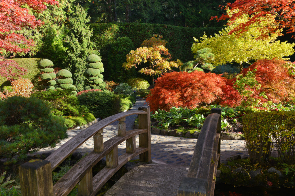 Autumn Garden Insights - The Butchart Gardens