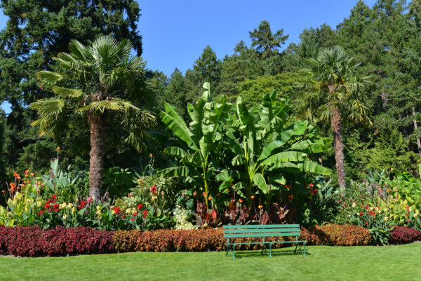 What’s in Bloom Now? Garden Updates September 15 – 21