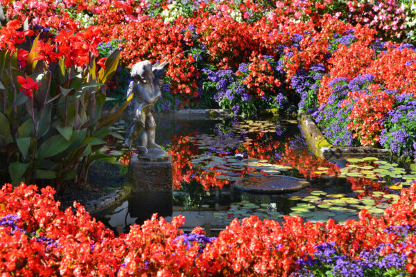 What’s in Bloom Now? Garden Updates September 8 -14