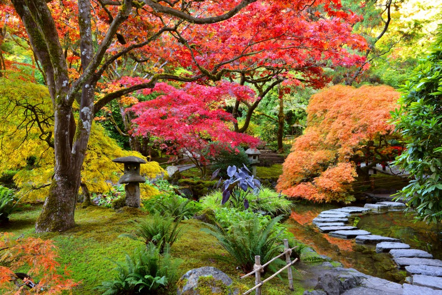 What's in Bloom Now? Garden Updates October 20 - 26 - The Butchart Gardens