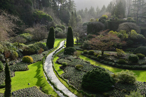 Christmas Garden Insights