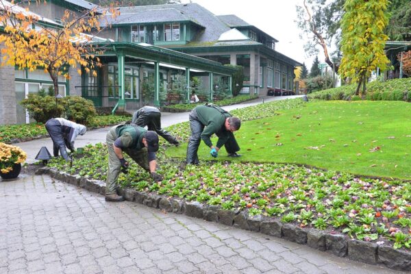 What’s in Bloom Now? Garden Updates November 10 – 16