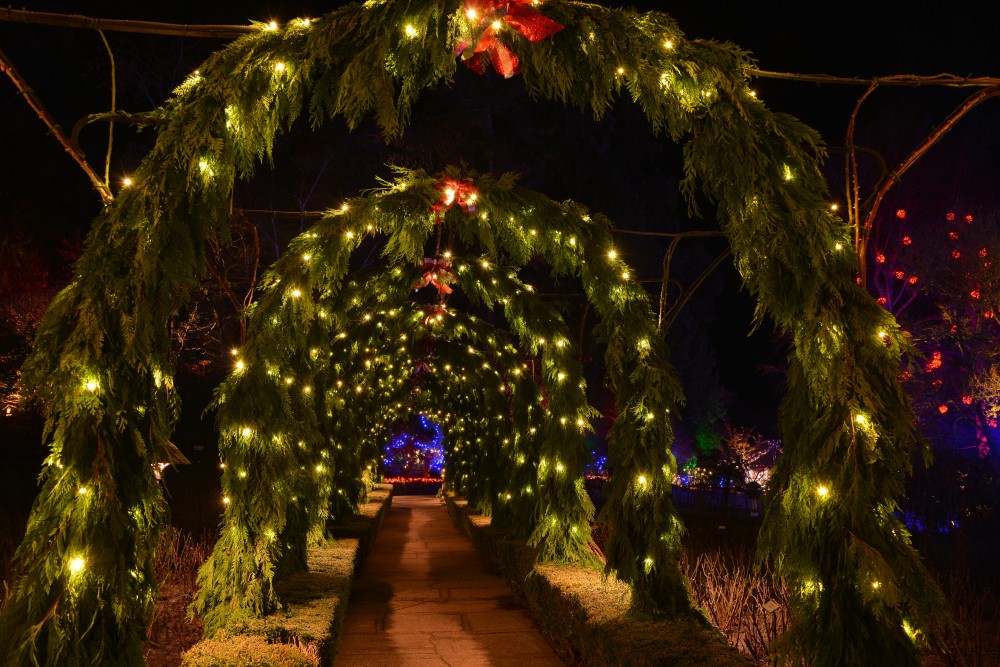 Christmas lights decorating Sunken Garden- Butchart Gardens at