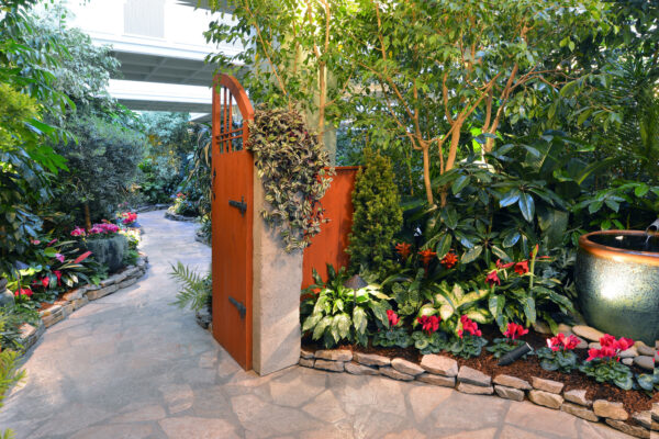 What’s in Bloom Now? Garden Updates January 18 – 31