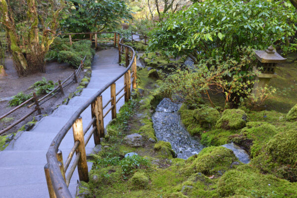 What’s in Bloom Now? Garden Updates February 1 – 7