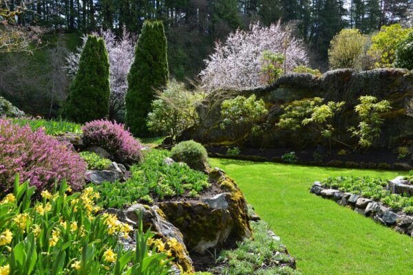 What’s in Bloom Now? Garden Updates March 29 – April 11