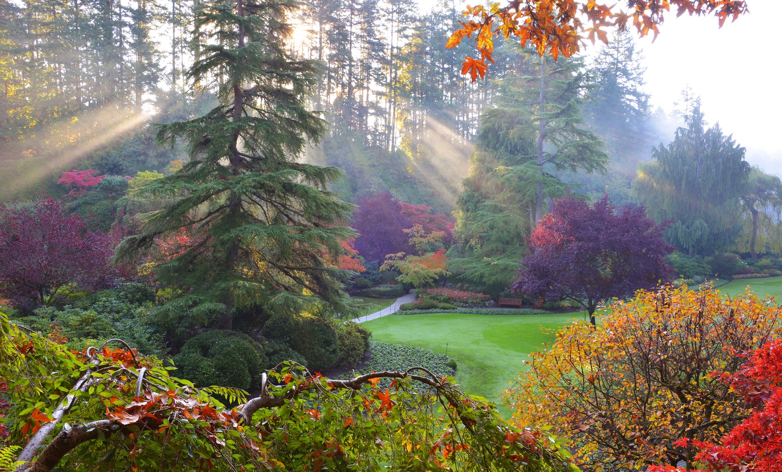 The Butchart Gardens – Victoria, Canada – The Plants