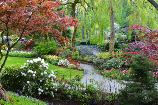 What’s in Bloom Now? Garden Updates May 3 – 9