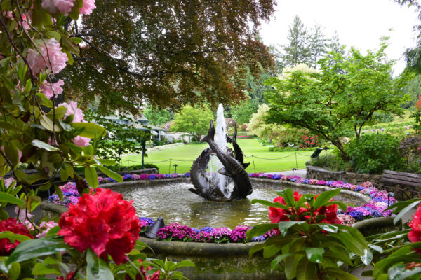 What’s in Bloom Now? Garden Updates May 18 – 31