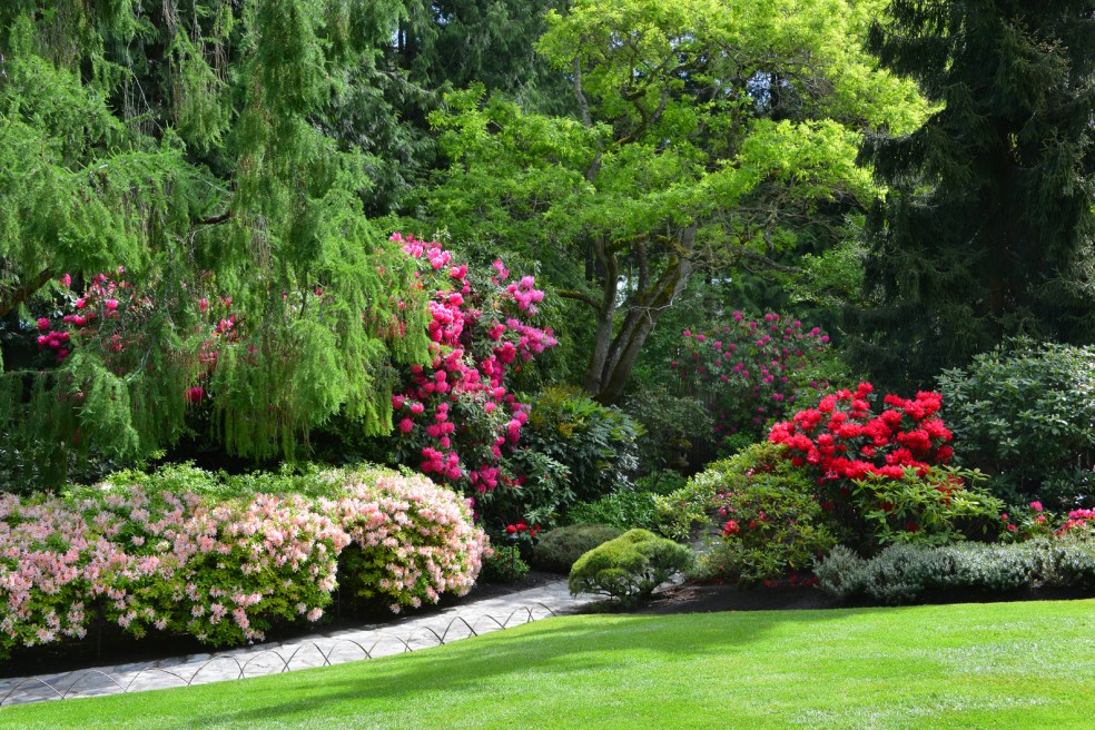 What's in Bloom Now? Garden Updates May 18 - 31 - The Butchart Gardens