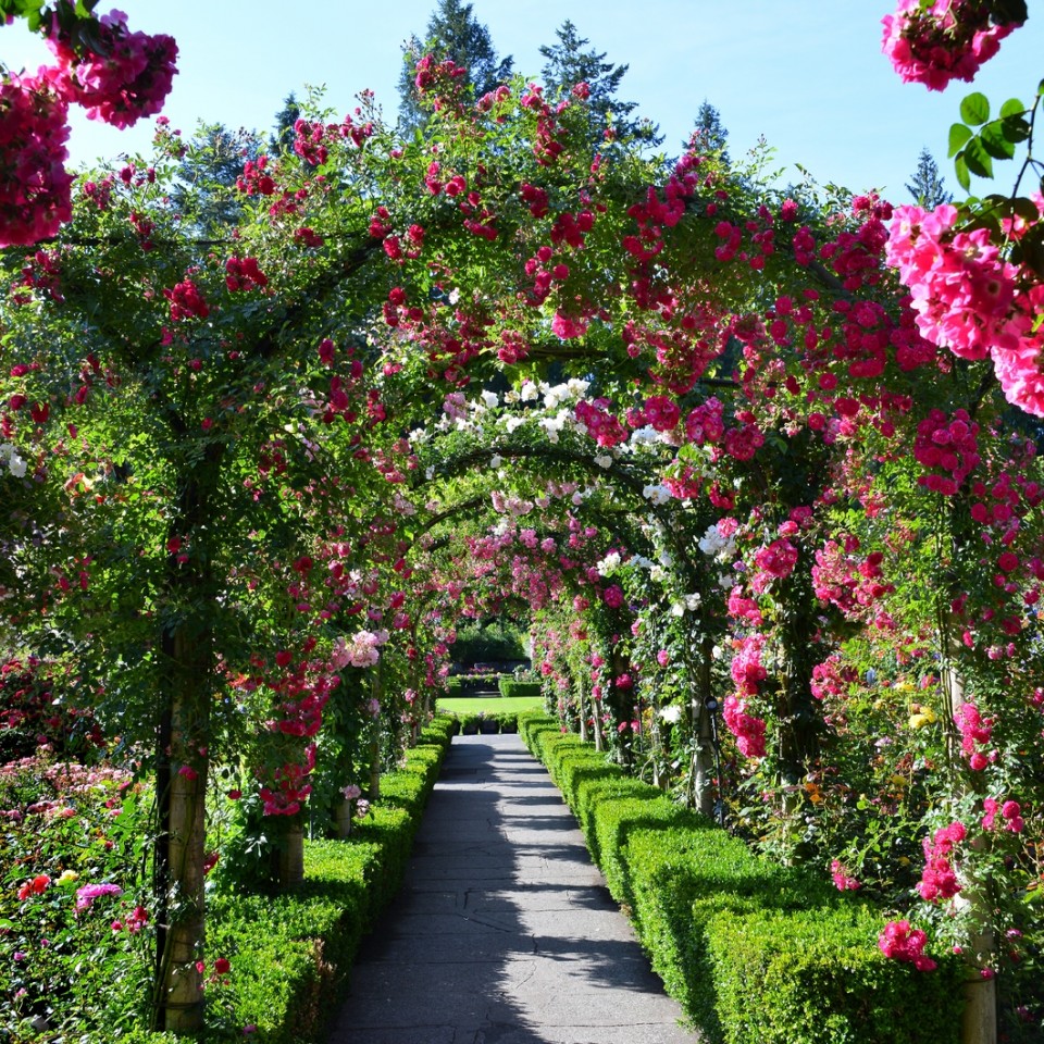 The Butchart Gardens – Victoria, Canada – Visiting in the Summer