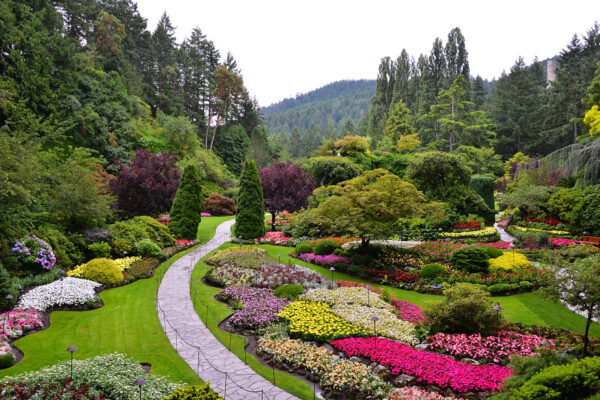 What’s in Bloom Now? Garden Updates July 15 – 29