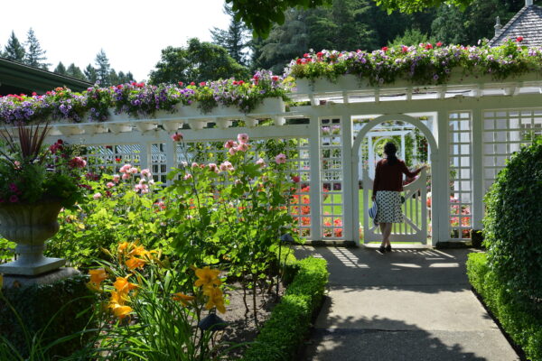 What’s in Bloom Now? Garden Updates July 30 – August 12