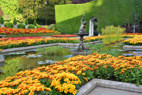 What’s in Bloom Now? Garden Updates October 1- 7