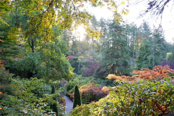 What’s in Bloom Now? Garden Updates October 8 – 17