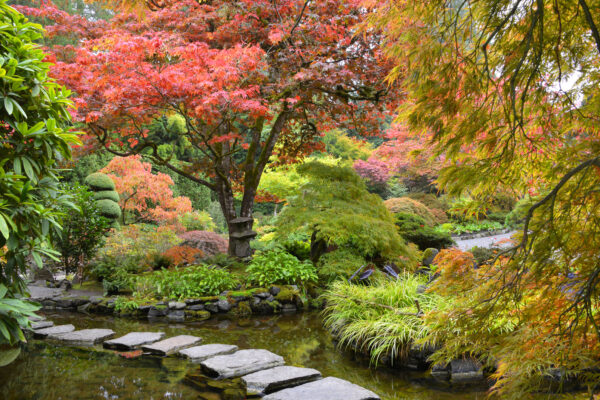 What’s in Bloom Now? Garden Updates October 18 – 24