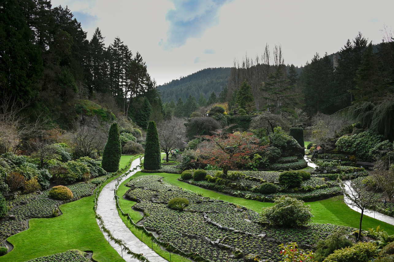 5 Butchart Gardens Christmas Things To Know BEFORE You Go (2023)