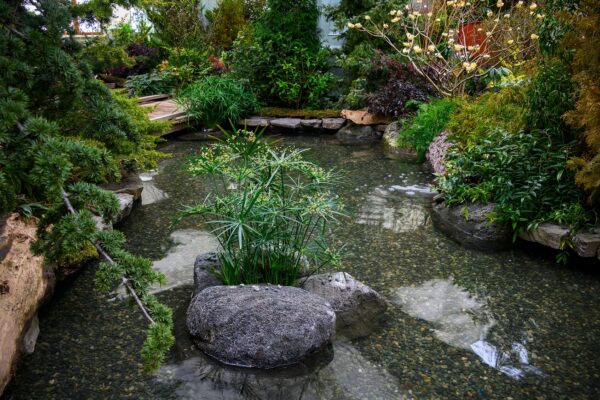 What’s in Bloom Now? Garden Updates February 1 -14