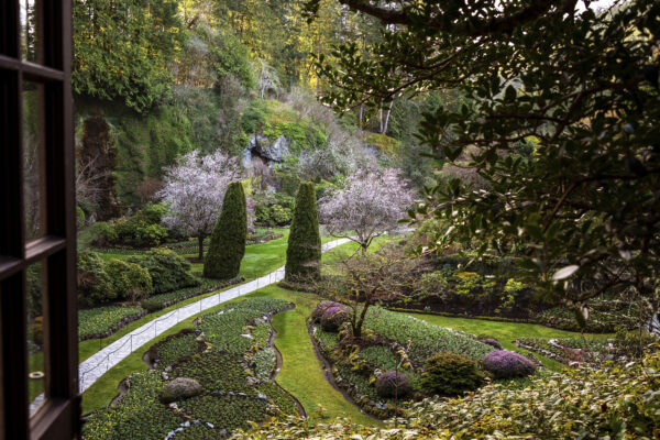 Spring Garden Insights