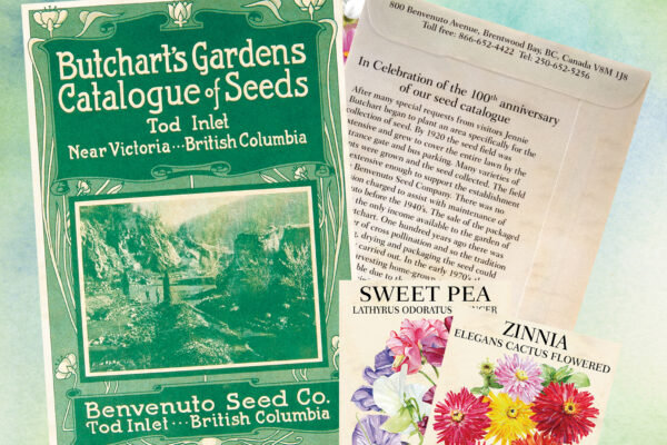 Shopping Inspiration: Limited-time Seed Packs