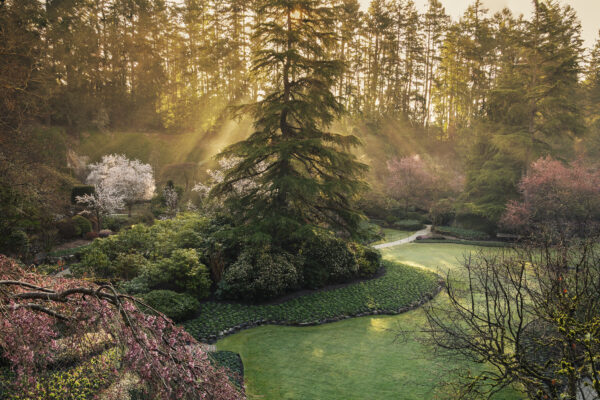 What’s in Bloom Now? Garden Updates March 16 – 31