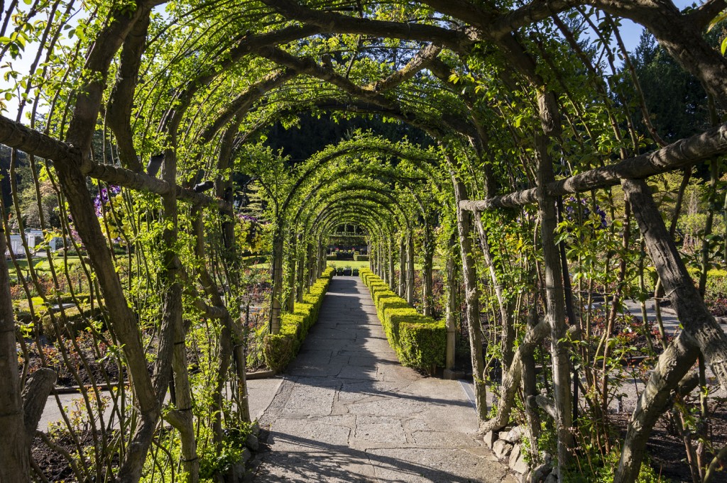 A Virtual Visit - The Butchart Gardens