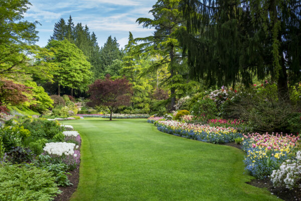 What’s in Bloom Now? May Garden Updates