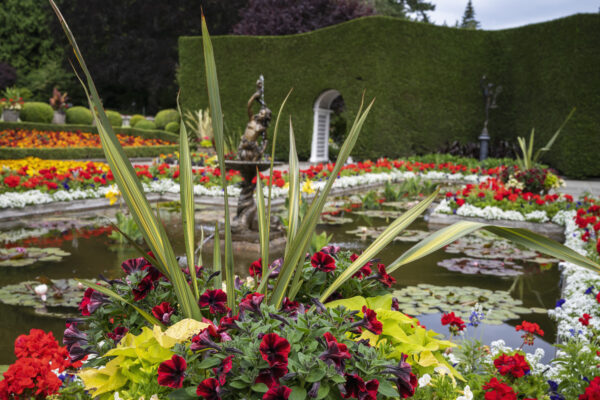 What’s in Bloom Now? July Garden Updates