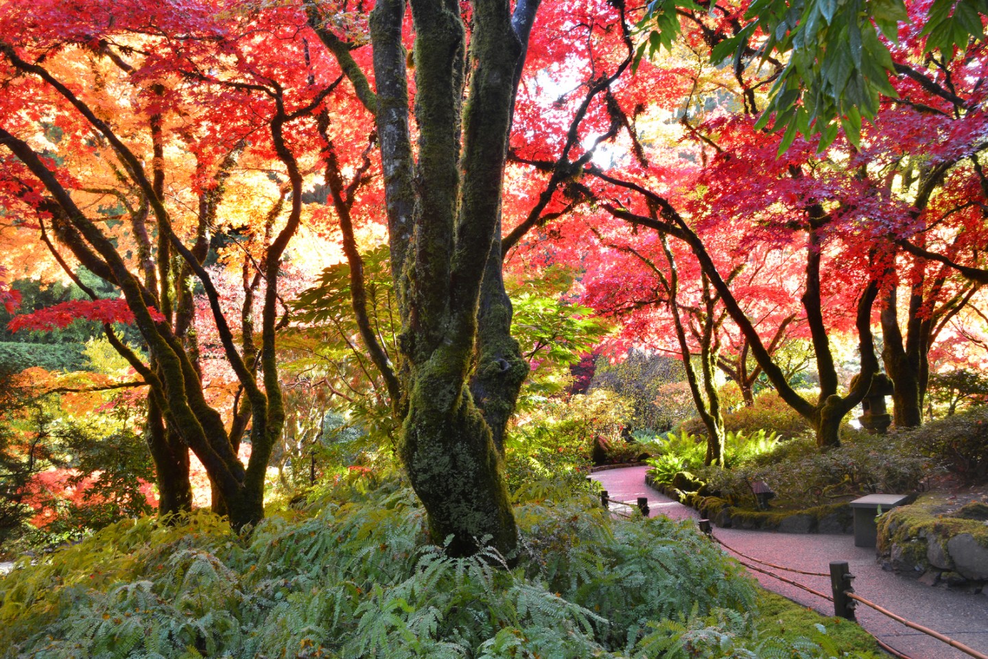 Autumn Garden Insights - The Butchart Gardens