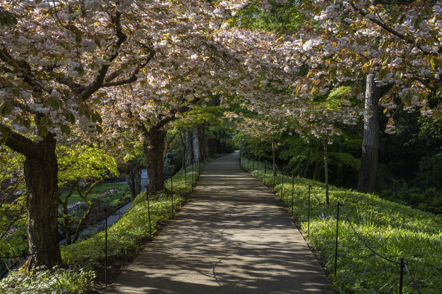 A Virtual Visit - The Butchart Gardens