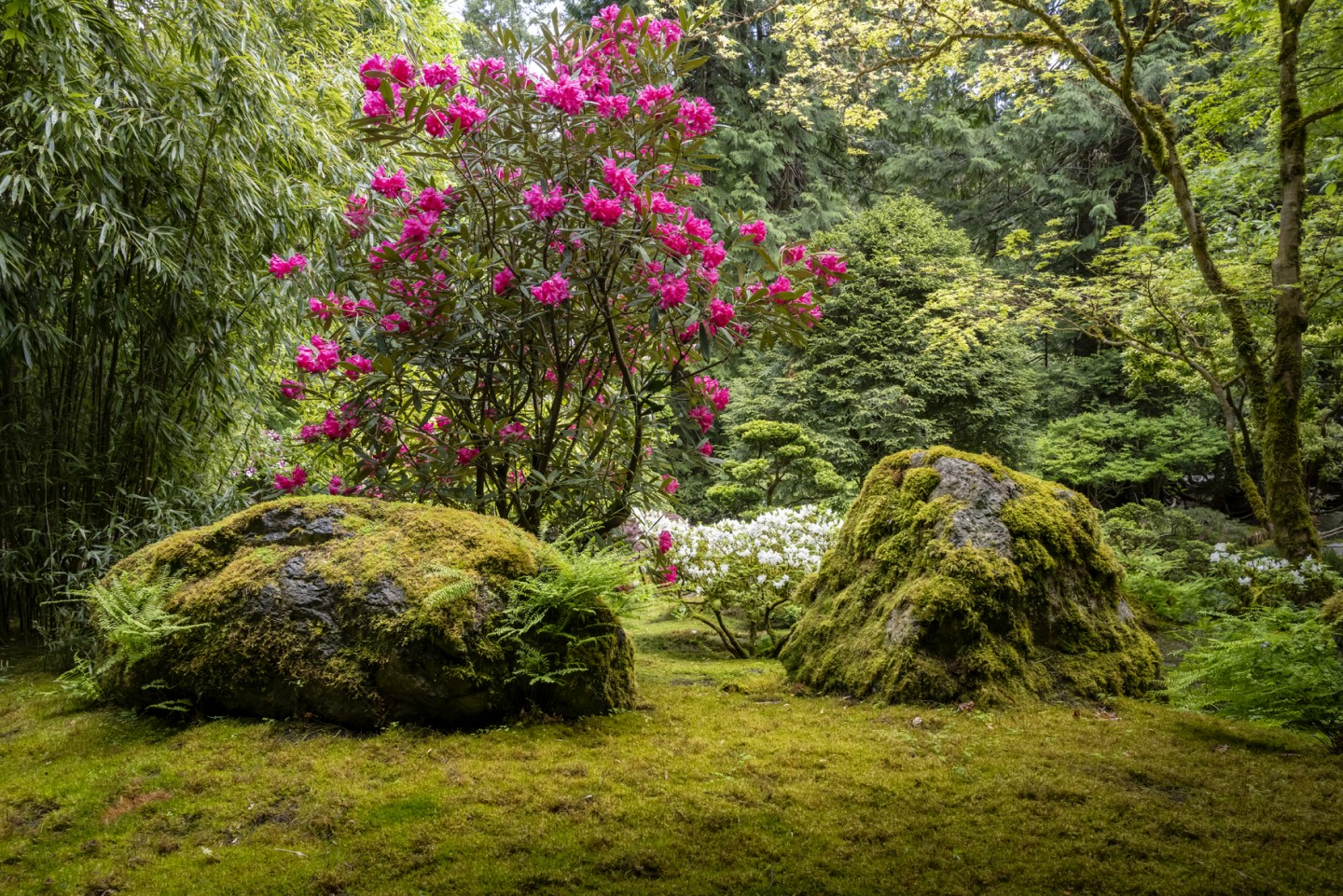 A Virtual Visit - The Butchart Gardens