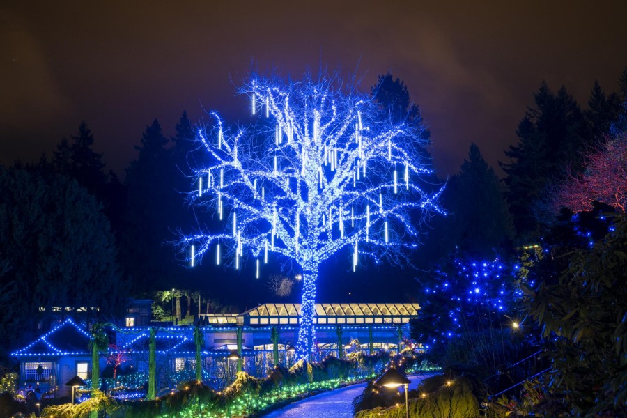 The Magic of Christmas at The Butchart Gardens, December 1 – January 6, 2022 - The Butchart Gardens