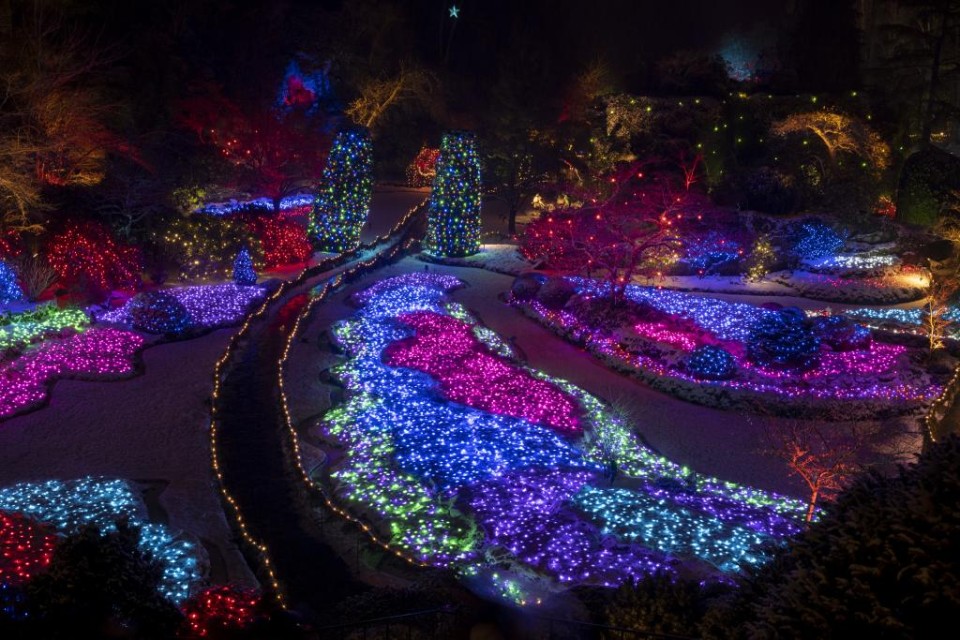 light up winter garden 2023