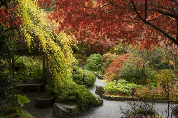 Autumn Garden Insight 2023