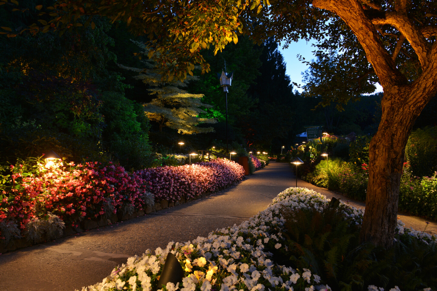 Cruise Passenger Information The Butchart Gardens