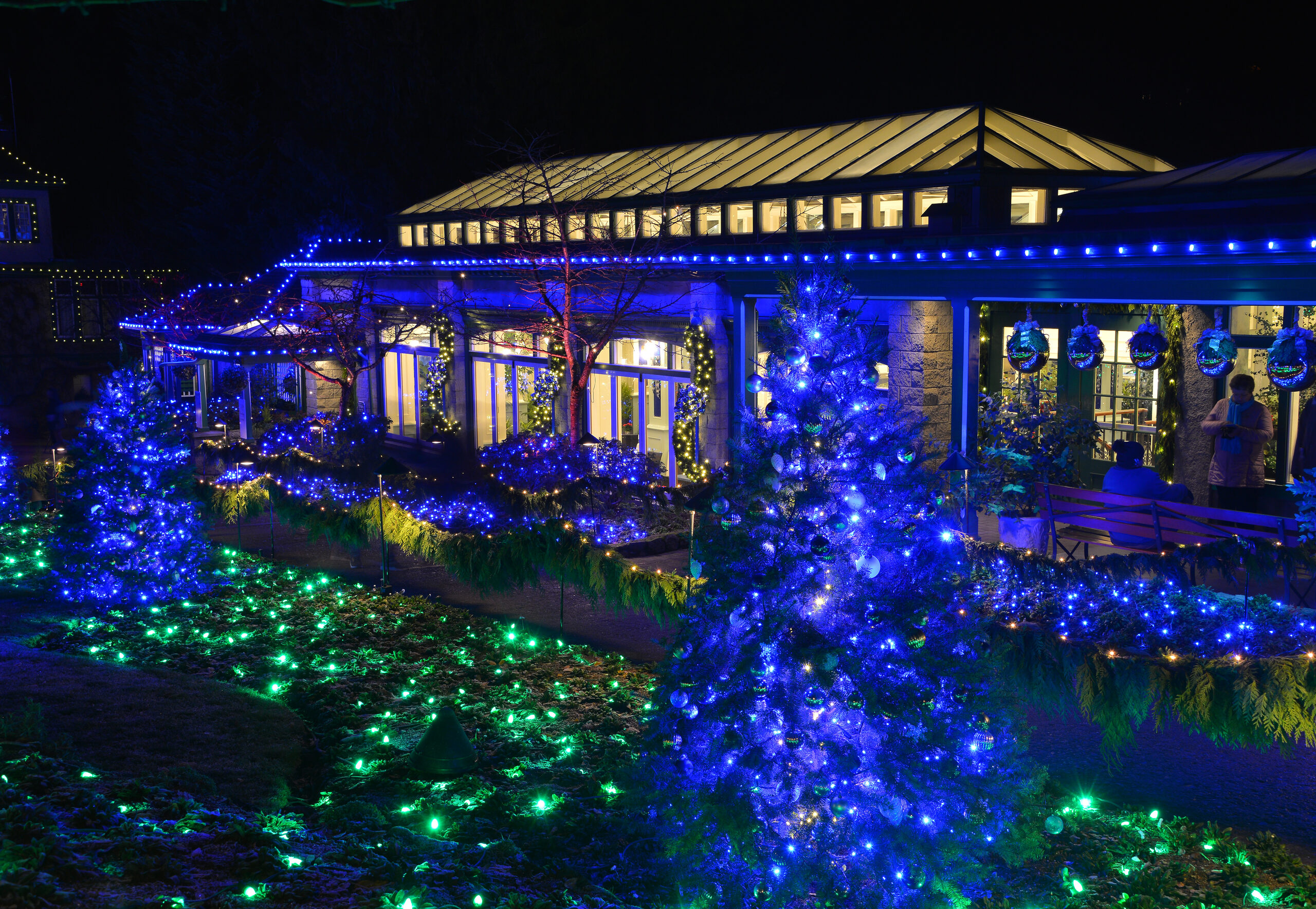 The Blue Poppy Restaurant