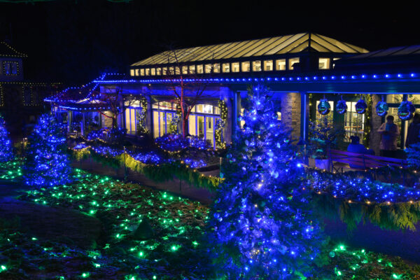 Le restaurant Blue Poppy