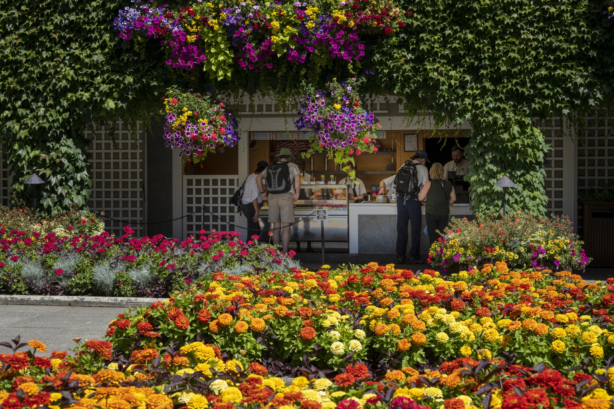 Galerie d'images du jardin italien